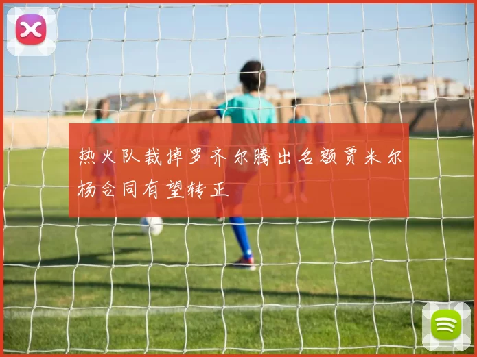热火队裁掉罗齐尔腾出名额贾米尔杨合同有望转正