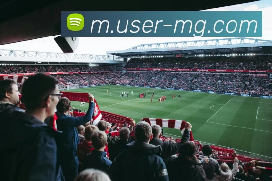 满冠体育全站App